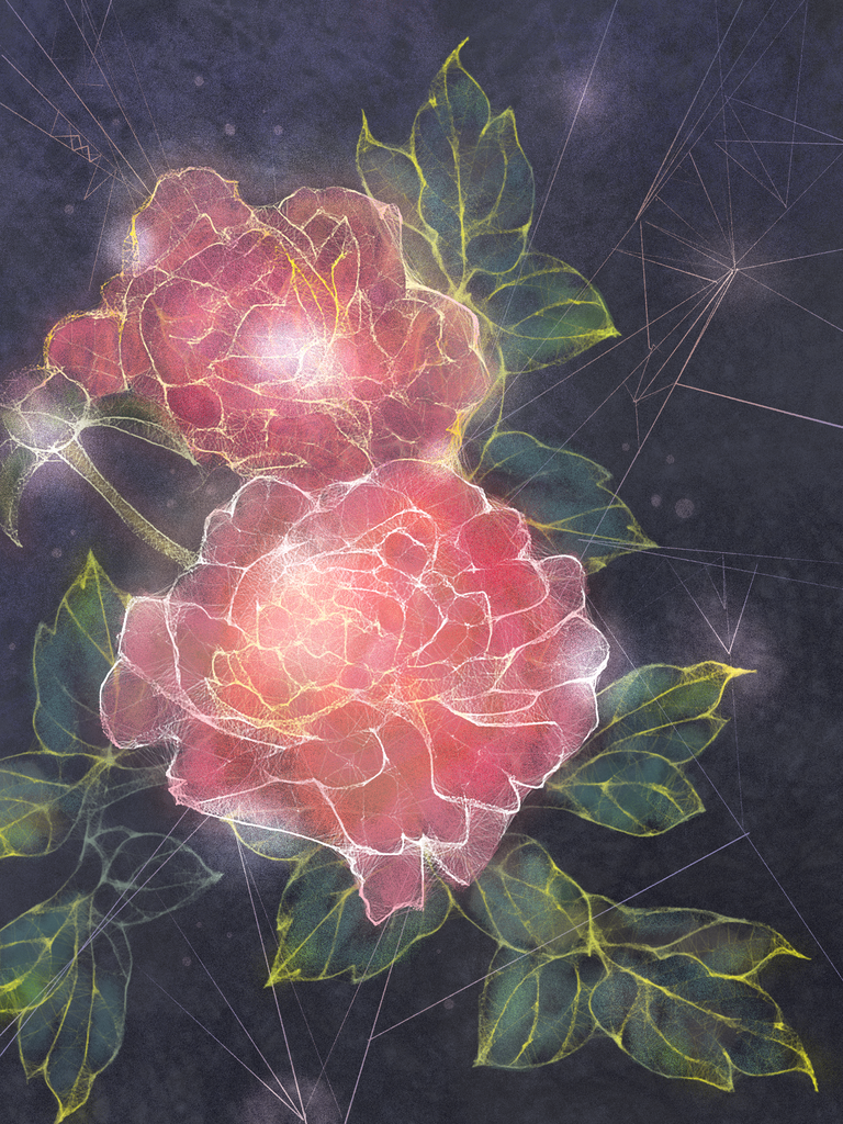 牡丹花中国风国潮花卉花朵插画