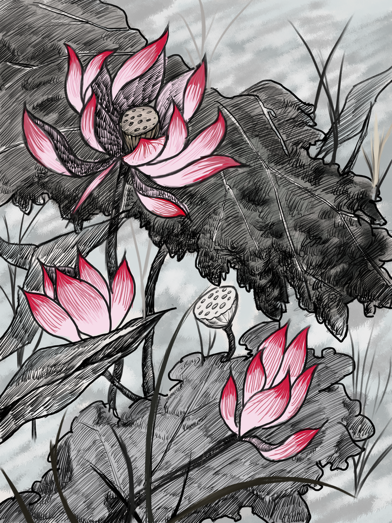 荷花中国风国潮花卉花朵插画