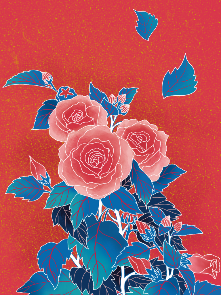 牡丹花中国风国潮花卉花朵插画