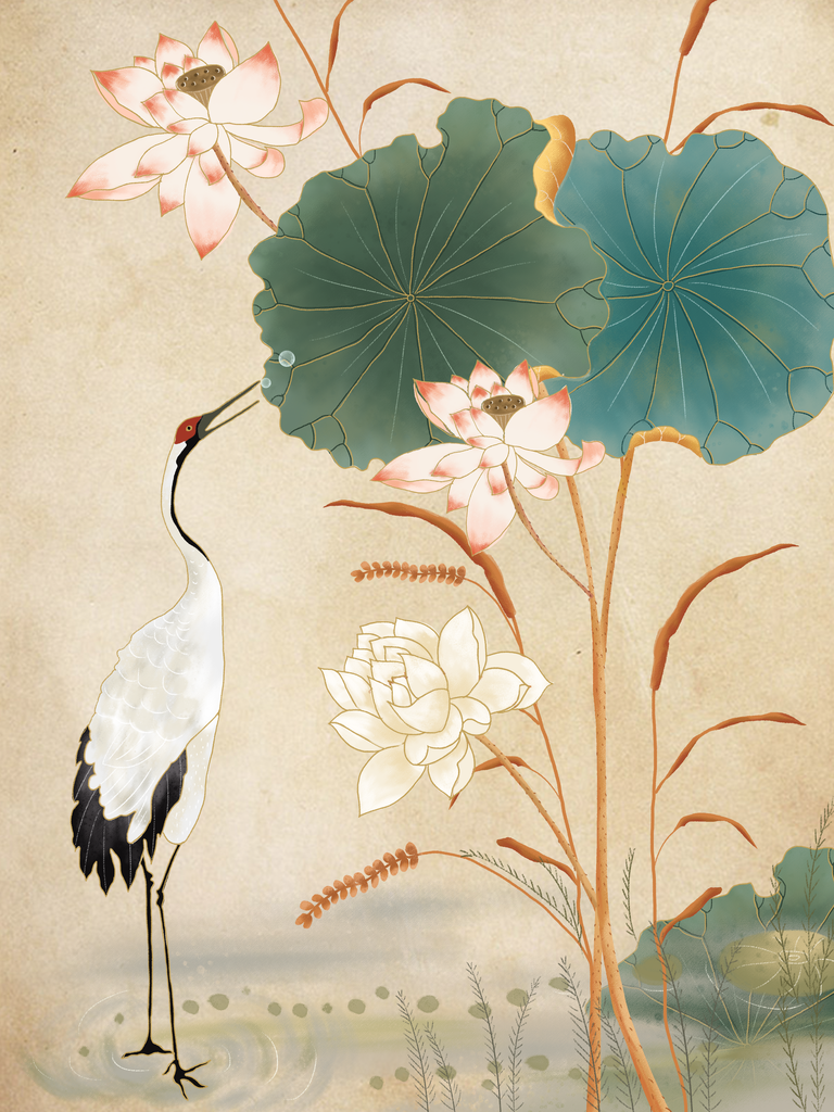 荷花中国风国潮花卉花朵插画