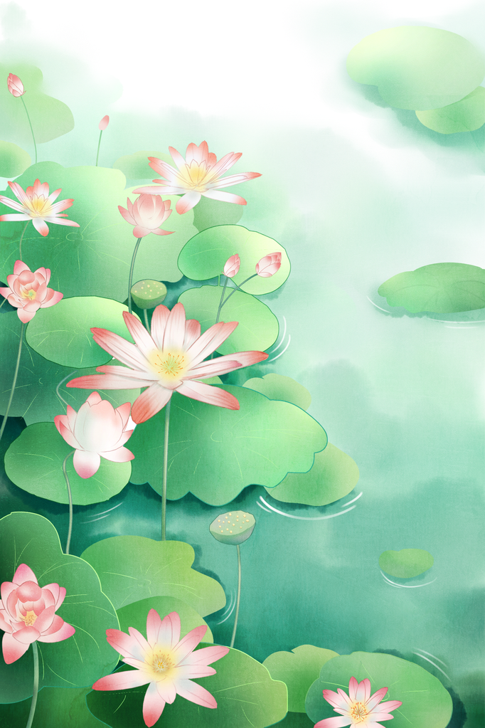 荷花中国风国潮花卉花朵插画