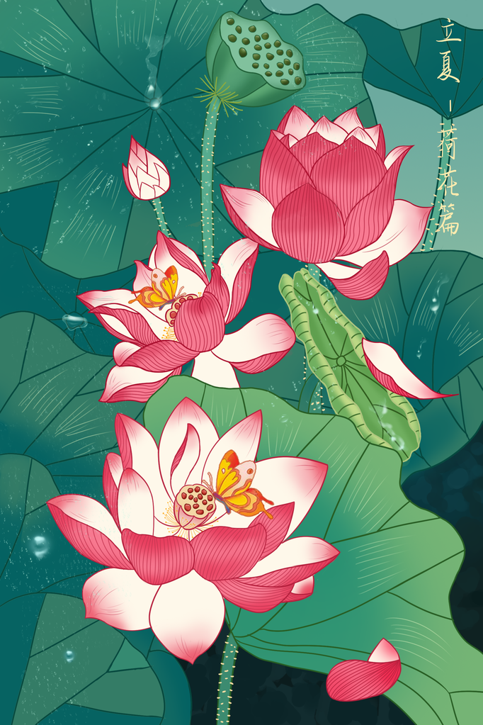立夏荷花风景画插画
