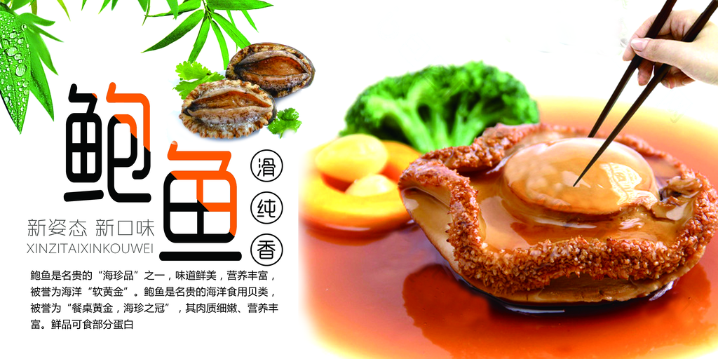 鲍鱼宣传展板模板