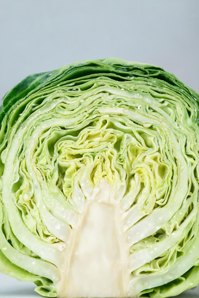 包菜食材蔬菜摄影图