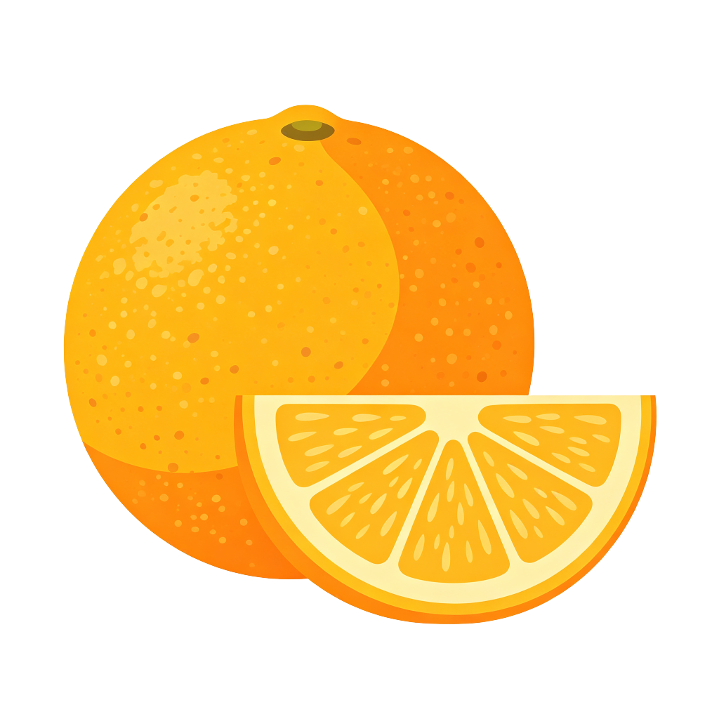 卡通美味橙子水果插画素材