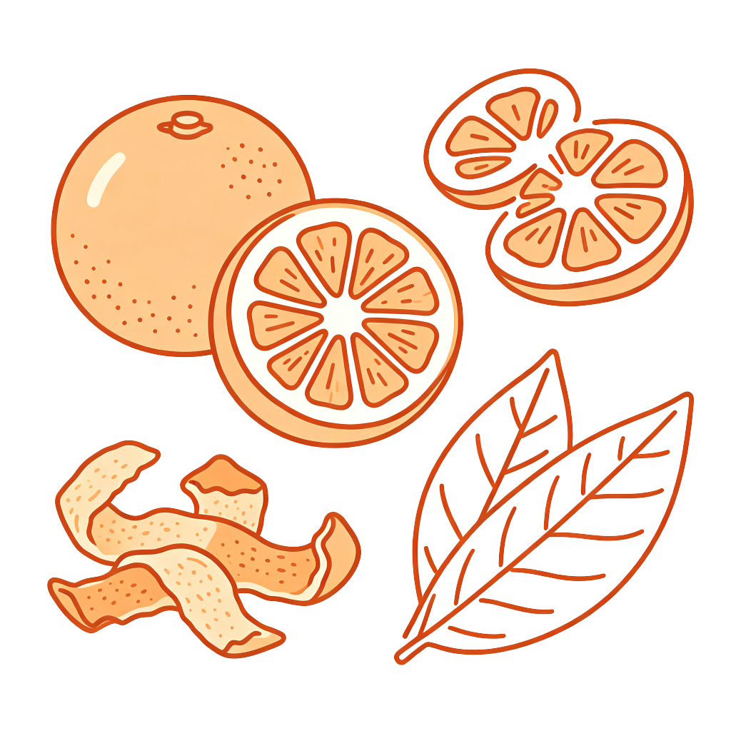 卡通美味橙子水果插画素材