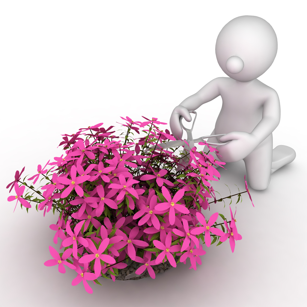 修剪花枝花艺3D小人图片
