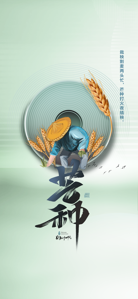 芒种海报设计模板