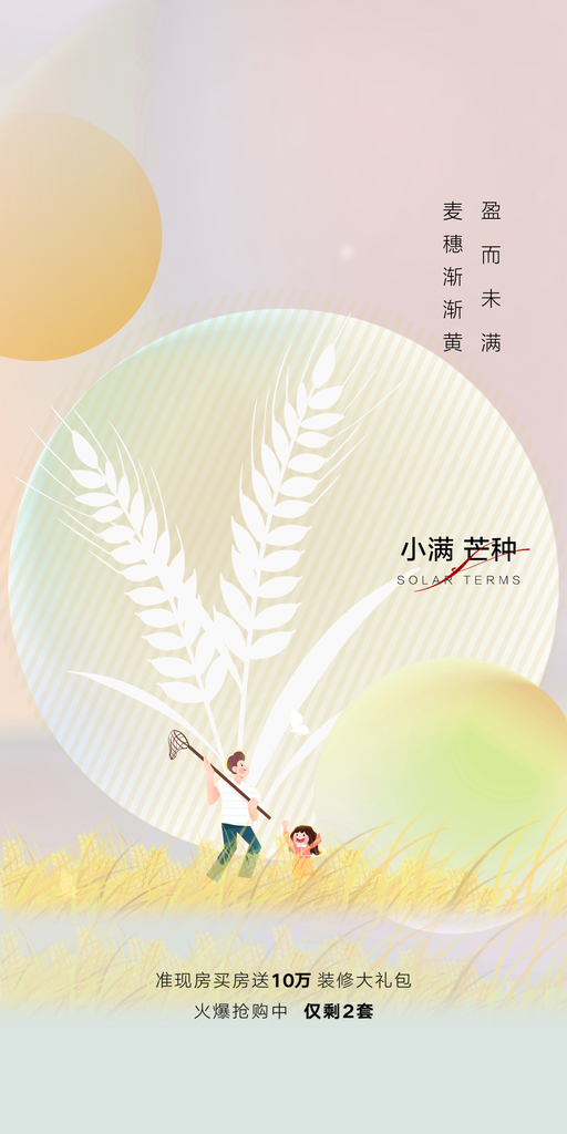 芒种海报设计模板