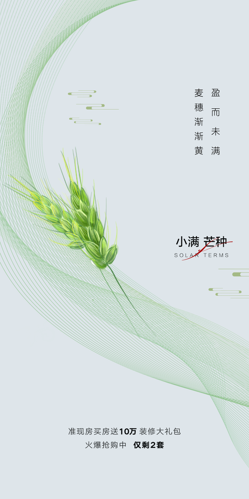 芒种海报设计模板