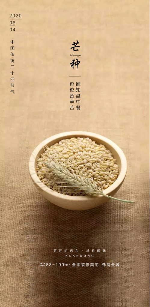 芒种海报设计模板