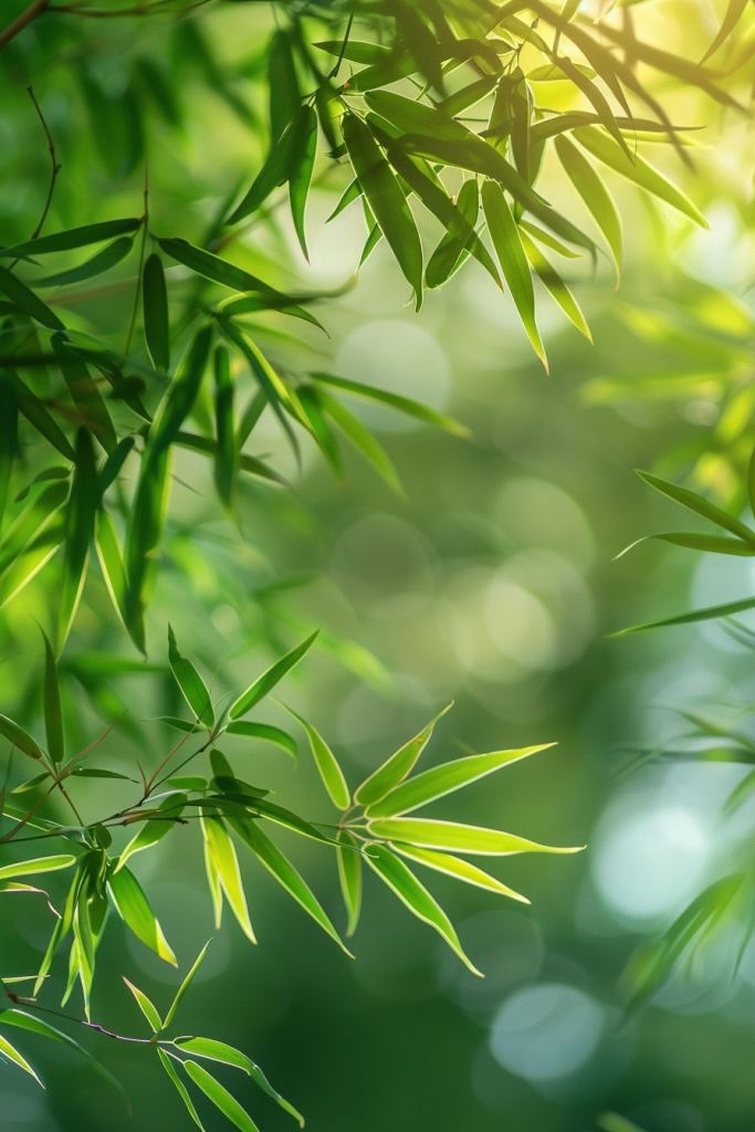 嫩绿竹叶植物摄影图