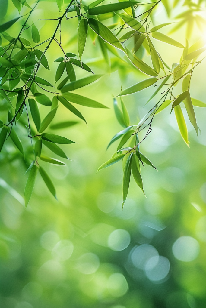 阳光竹叶植物摄影图