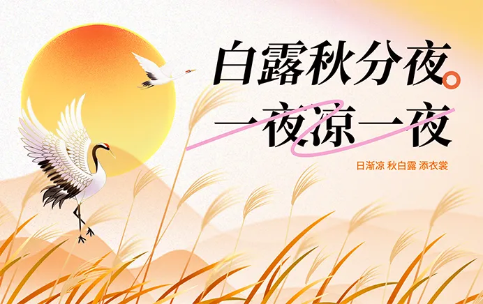 白露海报
