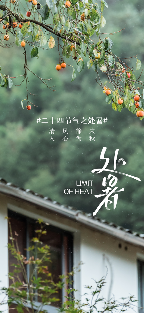 处暑复古中式国风海报