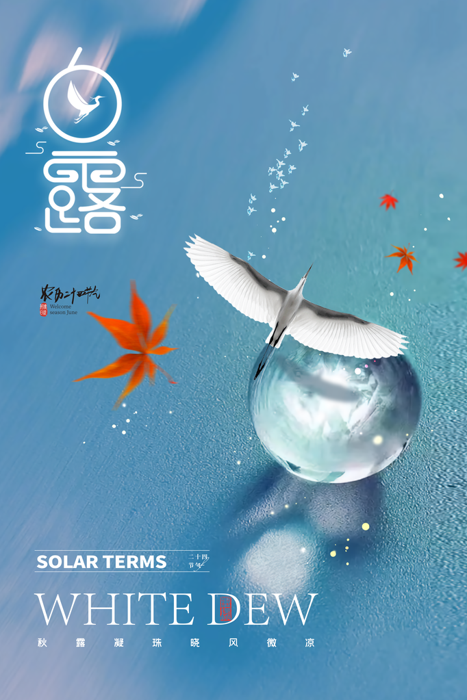 白露节气海报设计素材