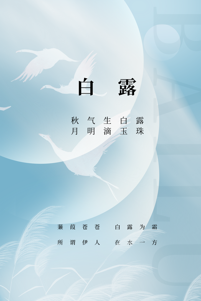 白露节气海报设计素材