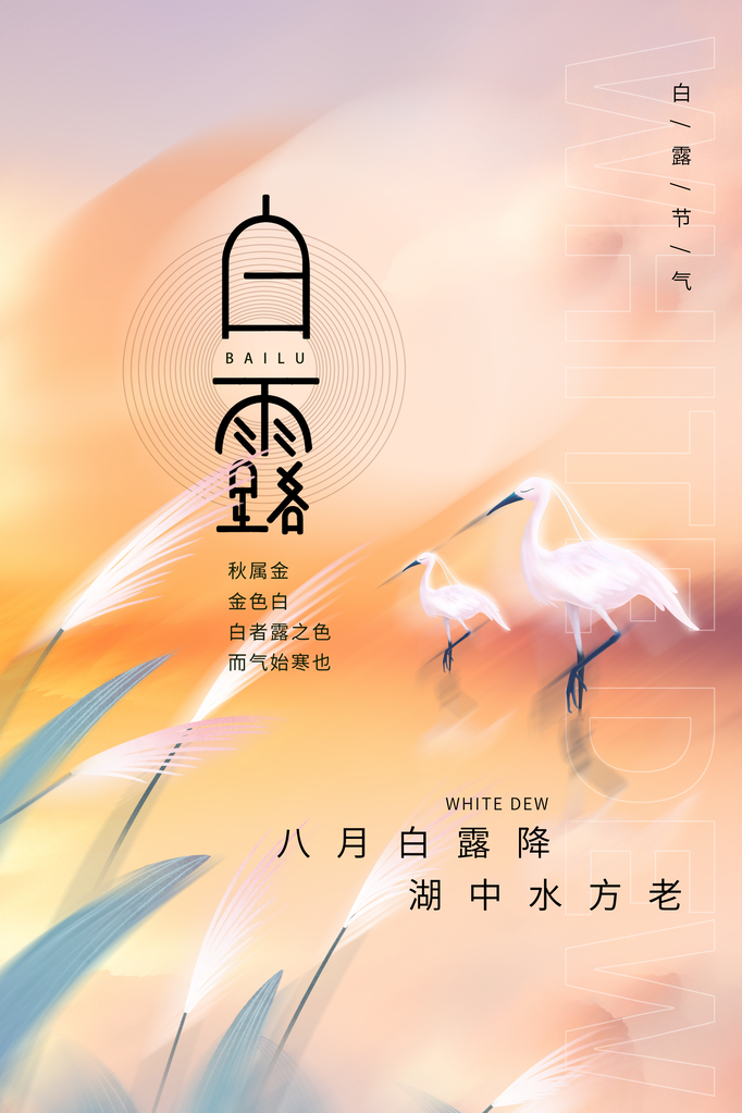 白露节气海报设计素材