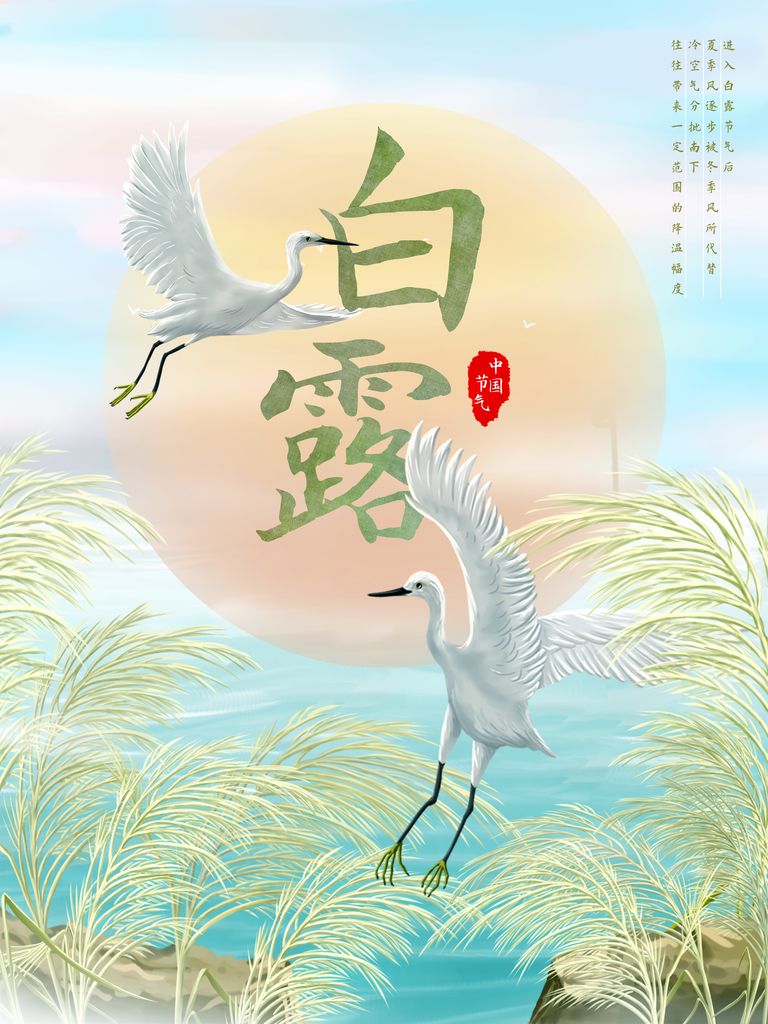 白露节气海报设计