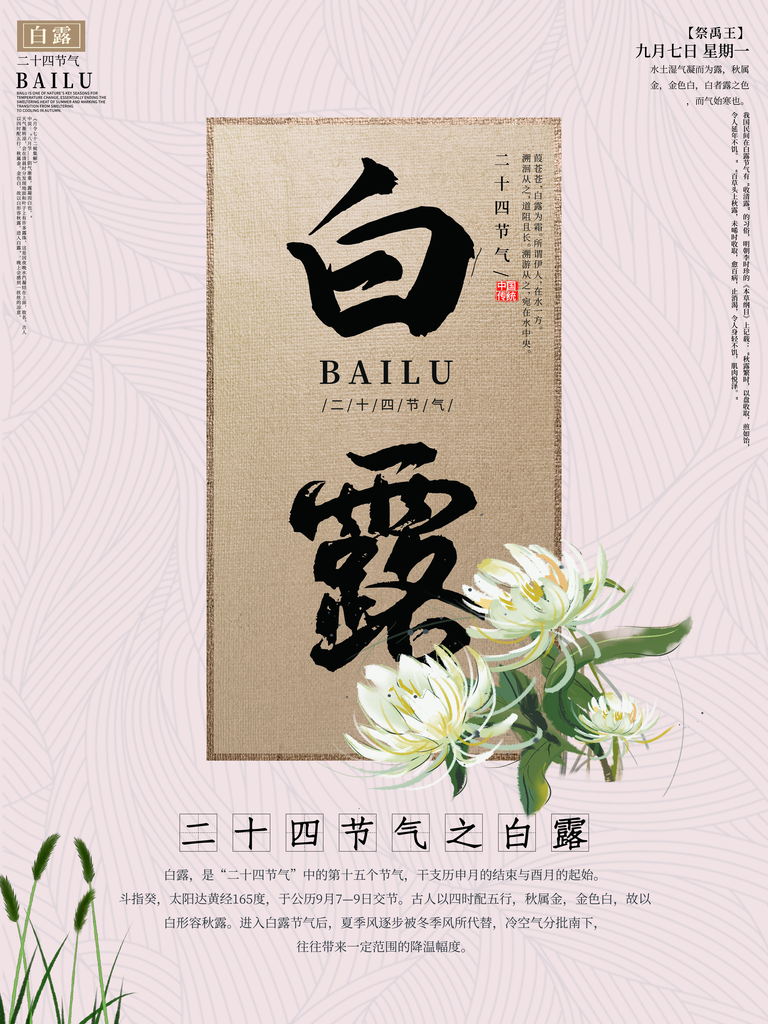 白露节气海报设计素材模板