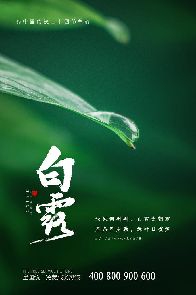 白露节气海报设计素材模板