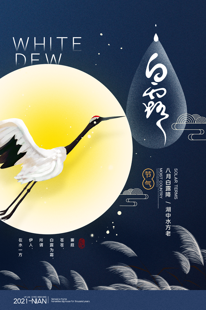 白露节气海报设计素材模板