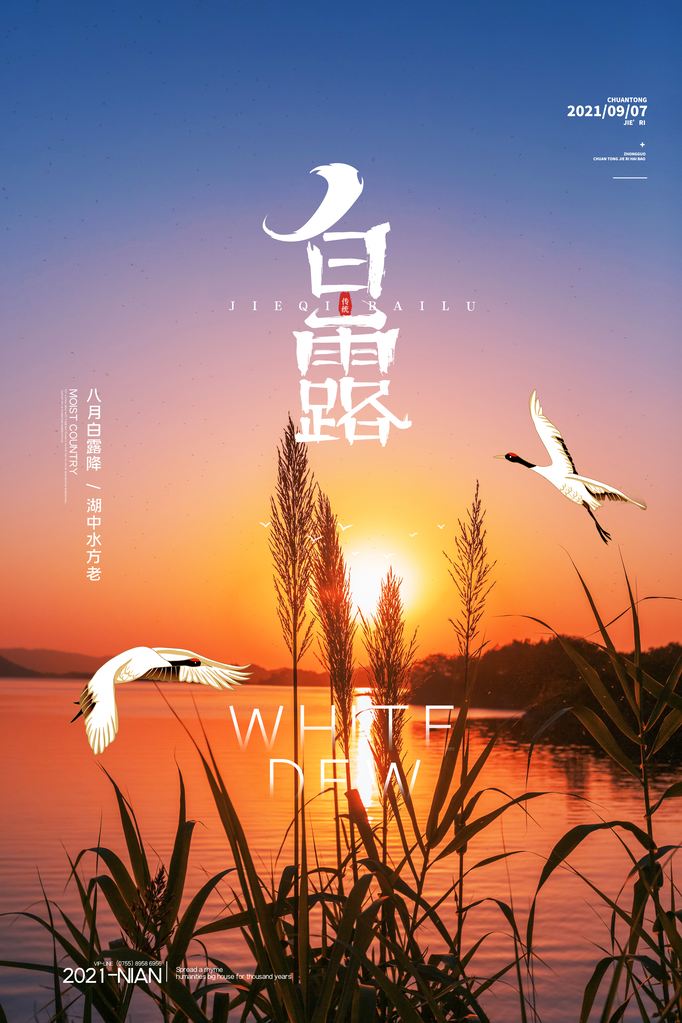 白露节气仙鹤元素海报设计素材模板