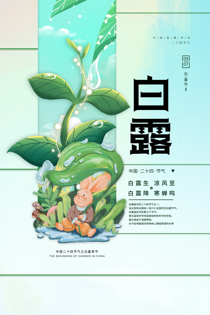 白露节气海报设计素材模板