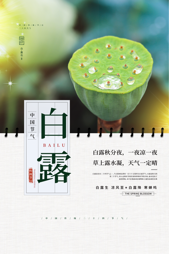 白露节气海报设计素材模板