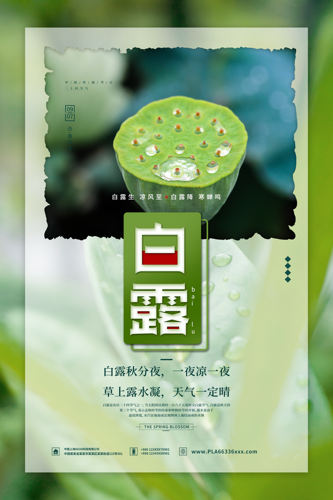 白露节气海报设计素材模板