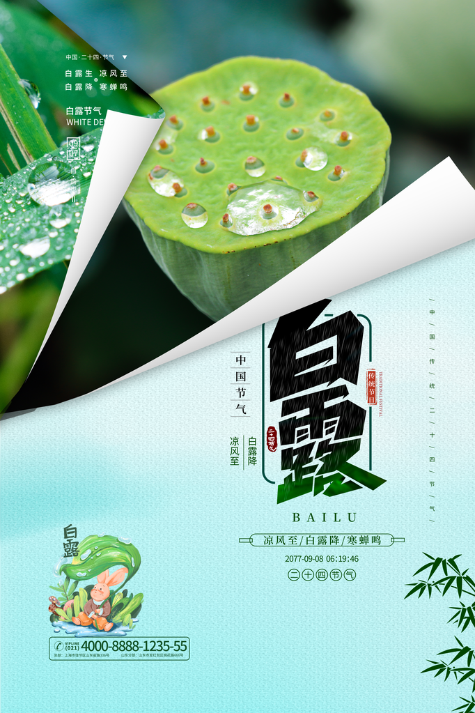 白露节气海报设计素材模板