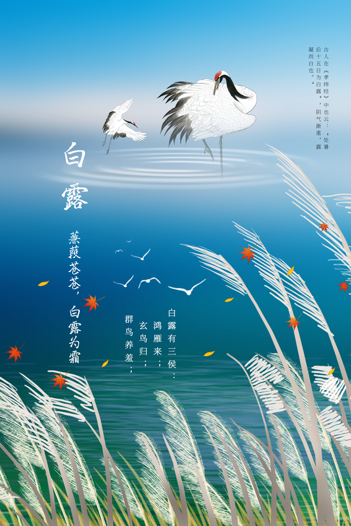白露节气日常活动海报