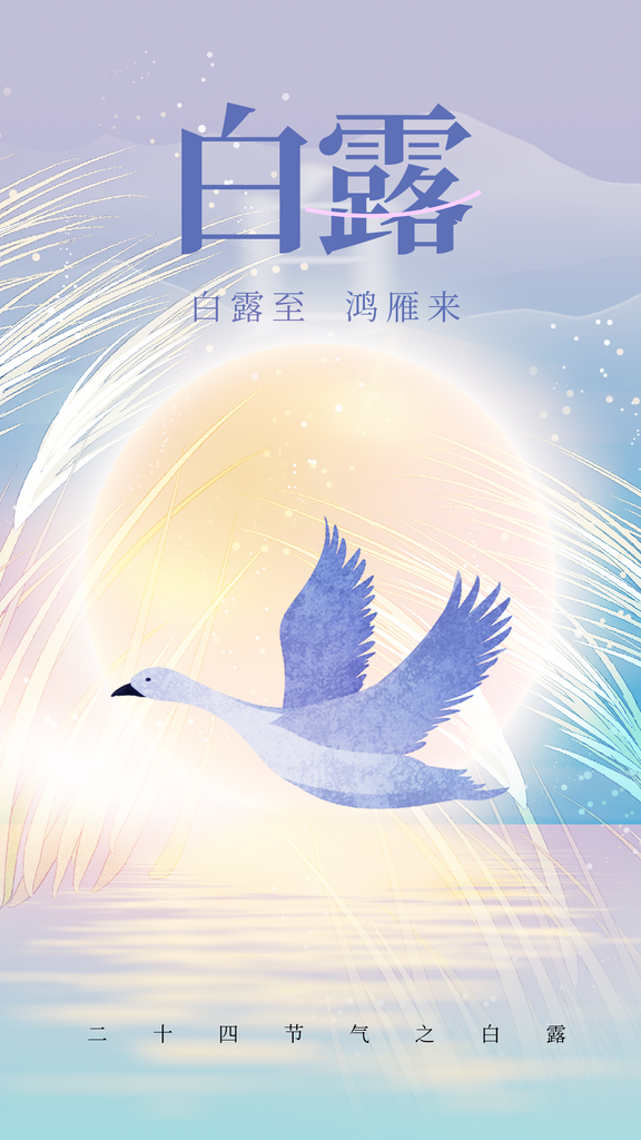 白露节气插画日常海报