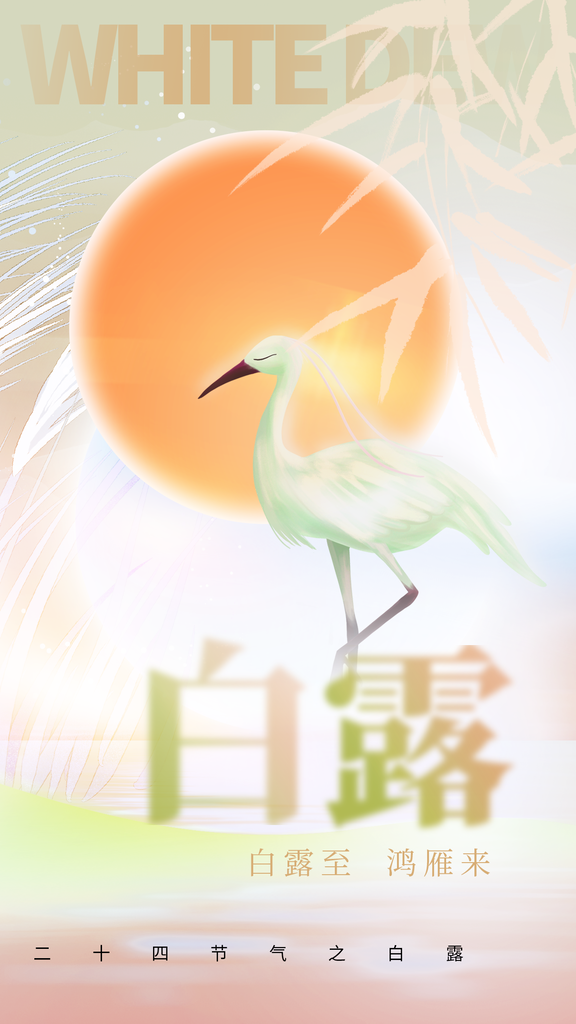 白露节气插画日常海报