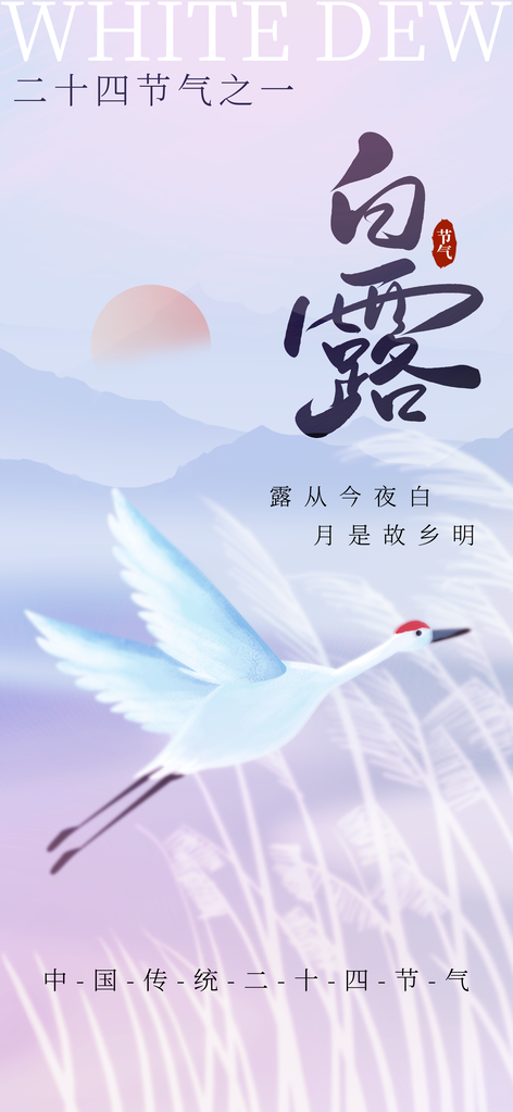 白露节气插画日常海报