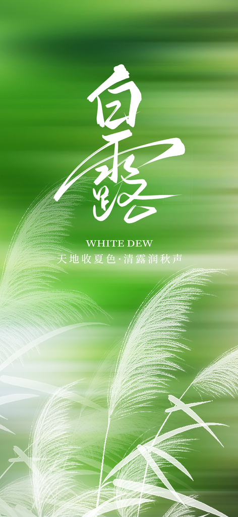 白露节气插画日常海报