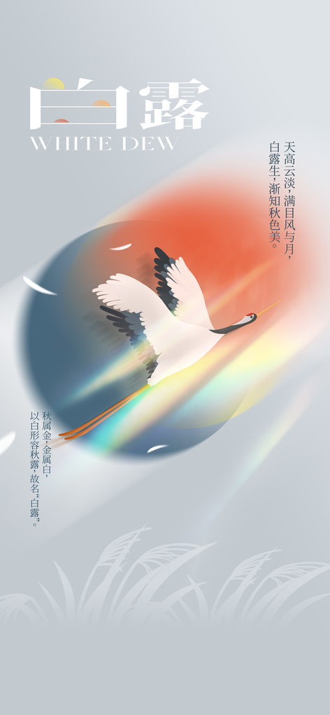 白露插画简约日常海报