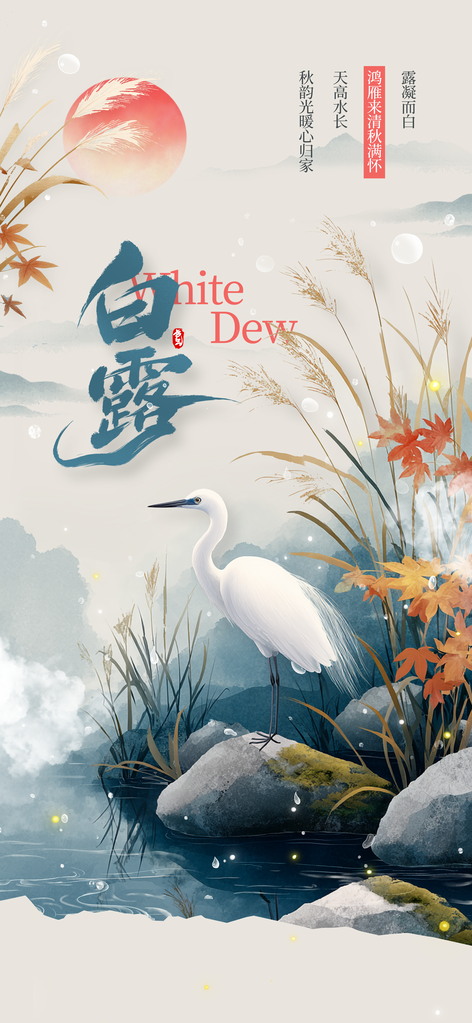 白露插画简约日常海报