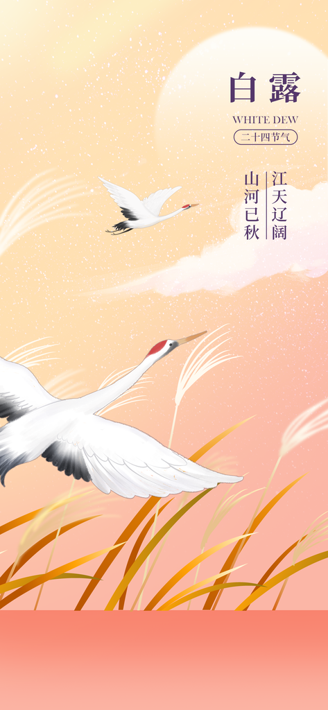 白露节气简约活动宣传海报