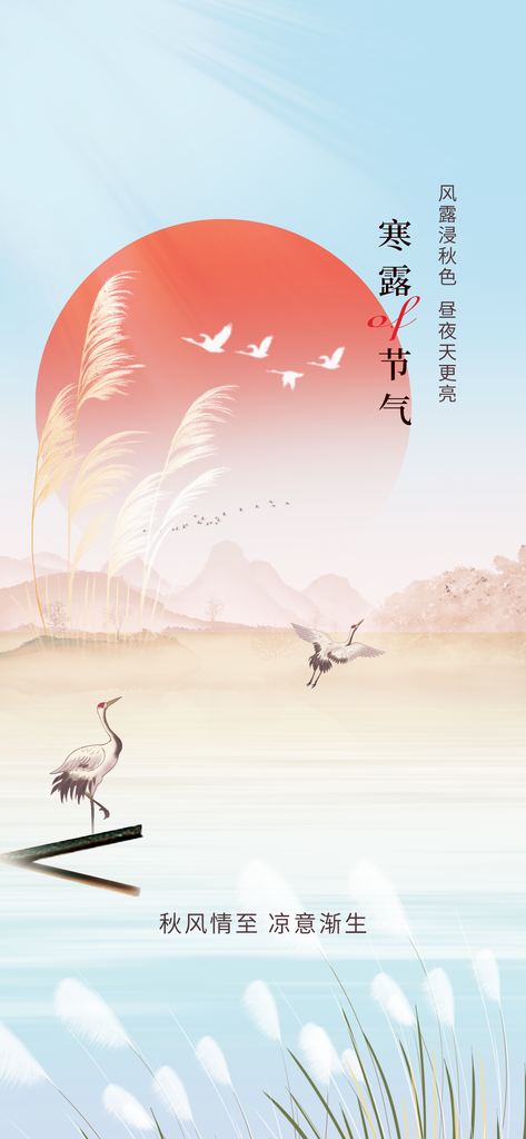 白露节气简约活动宣传海报