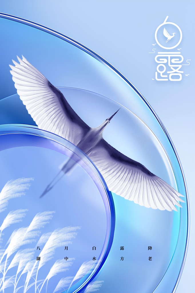 白露节气日常简约海报