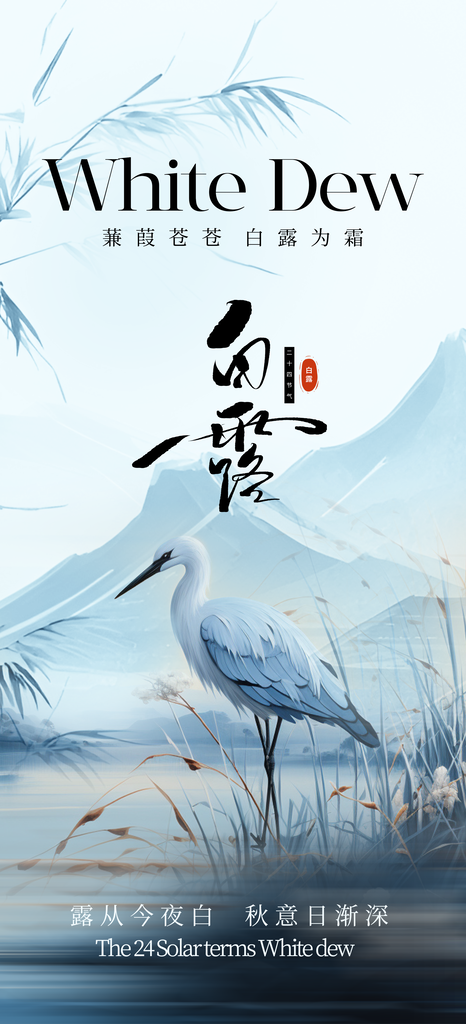 白露节气日常活动宣传海报