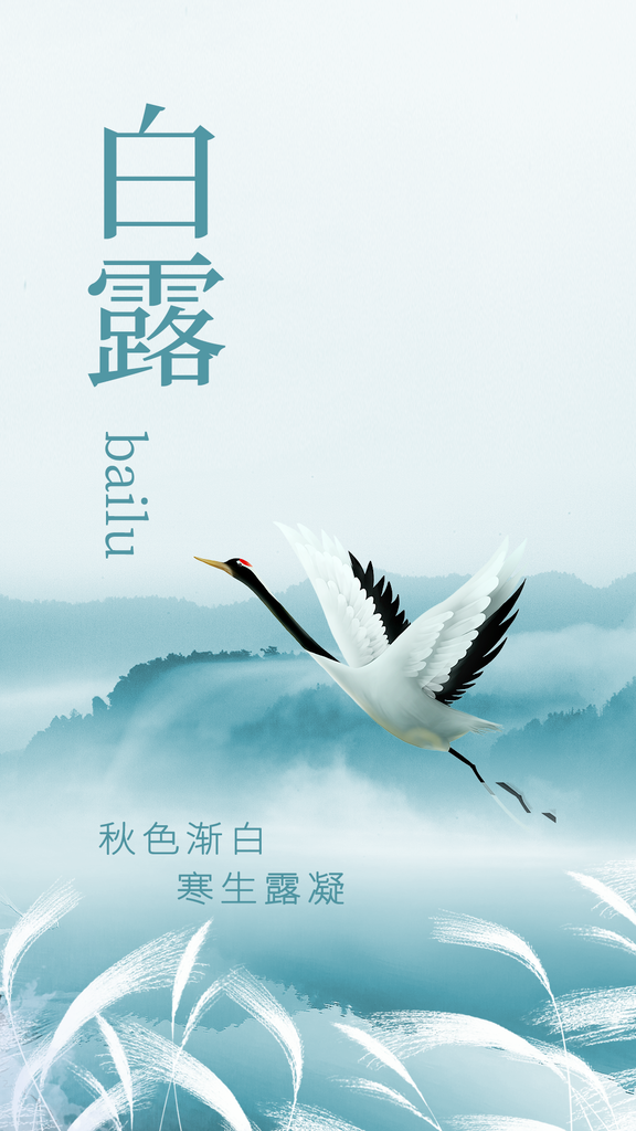 白露节气秋季秋天日常海报
