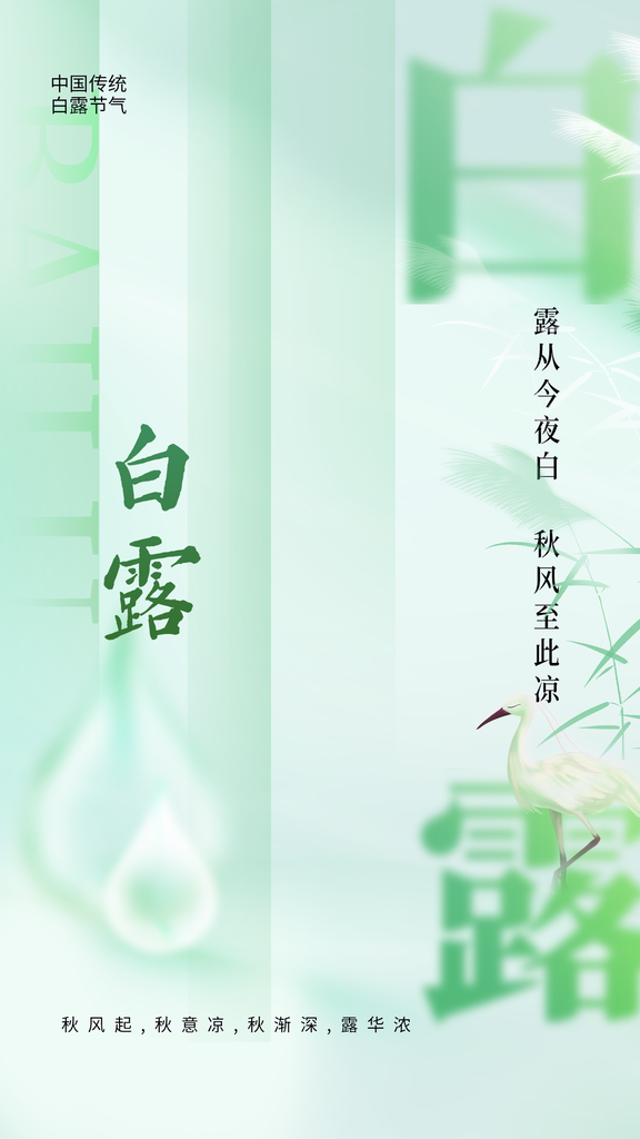 白露节气秋季秋天日常海报