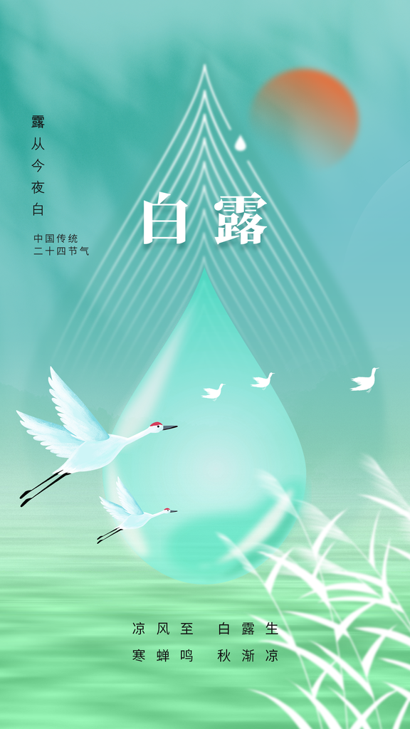 白露节气秋季秋天日常海报