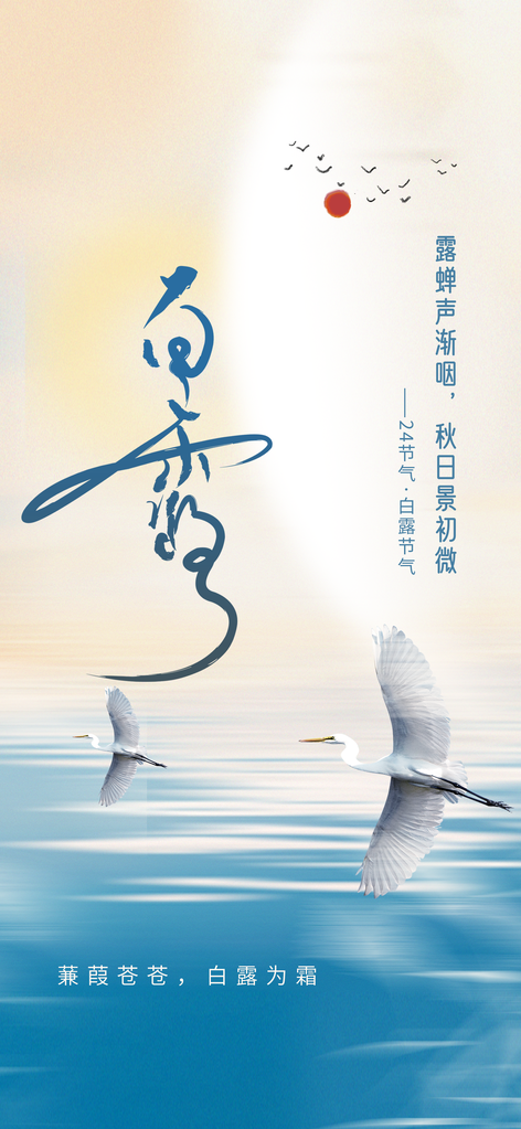 白露节气秋季秋天日常海报