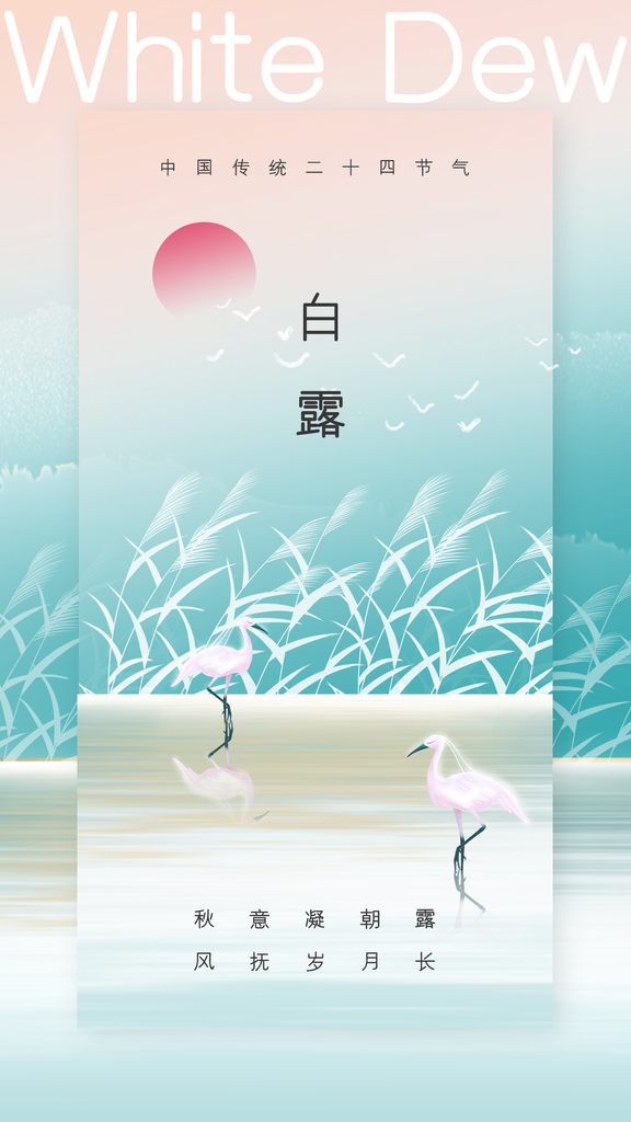 白露节气秋季秋天日常海报