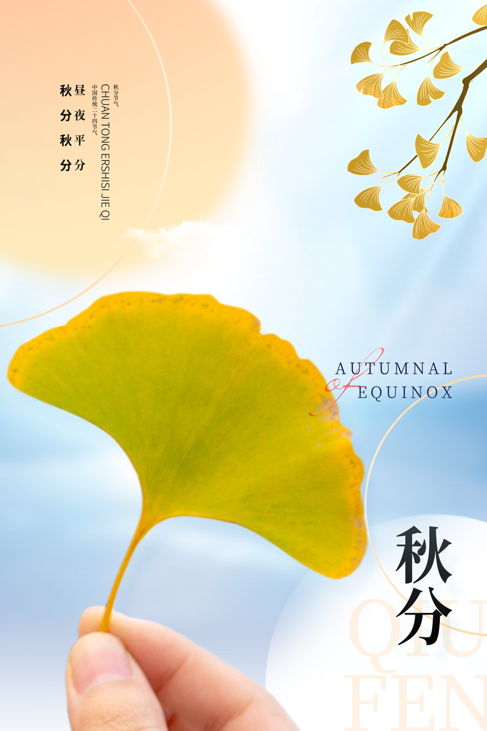 秋分节气宣传海报展板