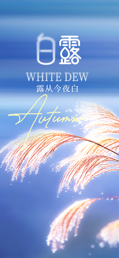 白露节气复古日常活动海报