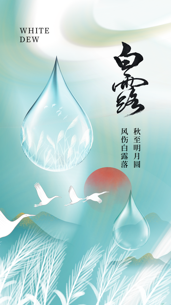 白露节气简约日常活动海报